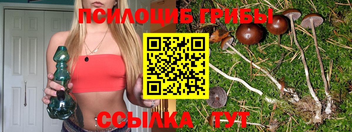 Комсомольск-на-Амуре  Галлюциногенные грибы мухоморы  Вход с VPN  Галлюциногенные грибы GOLDEN TEACHER 